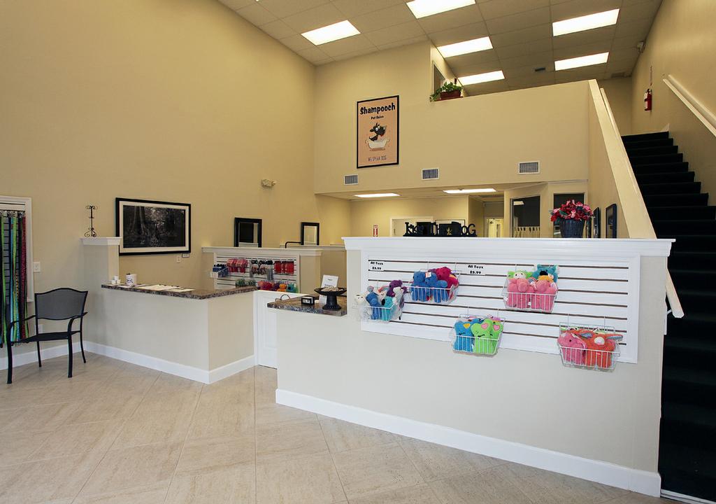 puppy salon shooch pet salon bonita springs fl 34135 239 676 8020 puppy salon shooch pet salon bonita springs fl 34135 239 676 8020