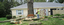 Chad Tree Experts