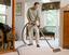 Provided by Mr. Clean Carpet Care, Oakland 