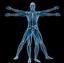 Provided by Chiropractor In Schertz LTD, Schertz 