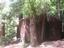 Provided by Exploring New Horizons at Sempervirens, Boulder Creek 