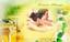 Provided by Sunrise Massage, Collingswood 