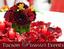 Provided by Tucson Premier Events, Tucson 