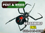 Gilbert Pest and Weed Control