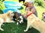 Provided by Creekside Critter Care, LLC, Maple Valley 