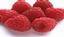 Provided by Red Raspberries Pest Solutions, Melrose Park 