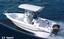 Provided by LottoBoat, Saint Petersburg 