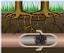 Provided by Cerritos Covenant Pipeline Sewer Repair, Cerritos 