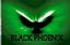 Black Phoenix Entertainment, LLC