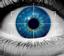 Provided by Advanced Investigations, Vancouver 
