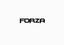 Provided by Forza Promo LLC, Amarillo 