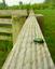 Provided by ONE GUY AND A MACHINE LAWN CARE & HARDSCAPING, Summerfield 