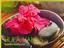 Provided by Hula Hands Hawaiian Healing Arts, Overland Park 