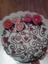 sweet lady cakery