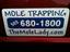 Provided by The Mole Lady, Troutdale 