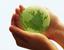 Bio Waste Solutions Disposal Inc.