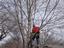 Provided by Prestige Tree Service, Lake Saint Louis 