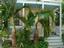 Provided by Bone Island Vacation Rentals, Key West 