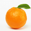 Provided by Florida Citrus, Bartow 