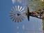 Provided by tumbleweeds restaurant, Wickenburg 