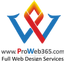 Provided by Pro Web 365, Rochester 