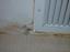 Provided by Plumbing-Leak-Flood Damage Services, San Diego 