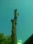 Provided by American Tree Works, Tulsa 