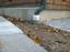St. Louis Foundation Installation and Repair