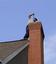 Provided by A Brush Above Chimney & Duct, Roebuck 