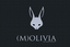 Provided by Molivia Design, Cornelius 