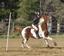 Provided by Bright and Beautiful Riding Academy, East Lyme 