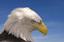Provided by American Firearms Training, LLC, Englewood 