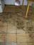 Provided by Indoor-Enviro Services, Exeter 