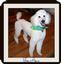 Provided by One Stop Pet Drop, Waynesboro 
