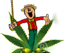 Provided by Dispensary in Anaheim CA, Anaheim 