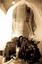 Provided by Longstreet Photography, Eugene 