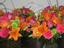Provided by Violets Florist & Gifts, Hauppauge 