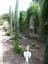Provided by Green ServPro Landscape Maintenance, Chandler 