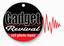 Provided by Gadget Revival, Islip 