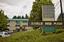 Provided by Cornerstone Natural Medicine, Portland 