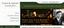 Provided by James Sheehy Law, Ltd., Minneapolis 