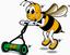 Provided by Busy Bee Lawn Care & Sprinkler Repair, West Columbia 