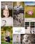 Provided by anja Photography, Palatine 