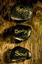 Provided by Tranquility Massage & Wellness, Rohnert Park 