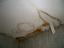 Provided by IND-IndoorAir Services, Hacienda Heights 