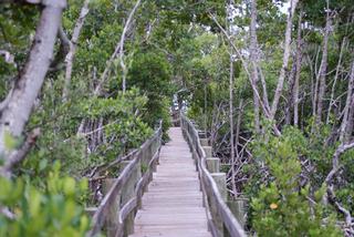 DSC02594.JPG provided by Cassandra Watwood Orlando 32826 