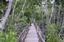 Provided by Cassandra Watwood, Orlando 