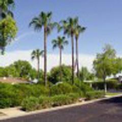 Arbor Manor Mobile Home Park - Phoenix, AZ