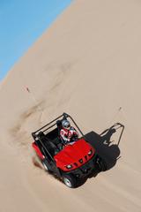 Imperial Sand Dunes Rhino.JPG