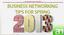 Business Networking Tips For Spring 2013.jpg
